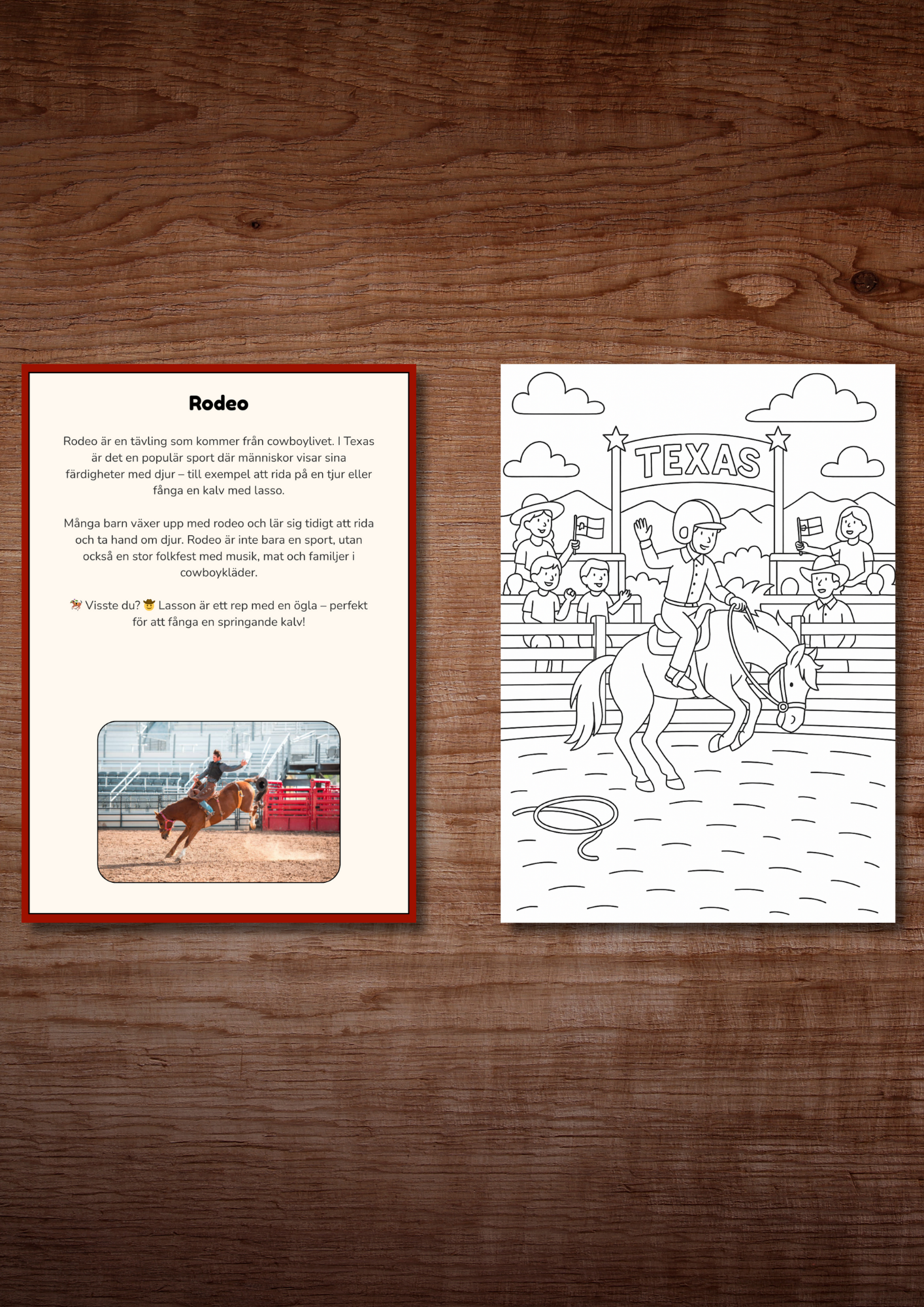 Res genom Nordamerika