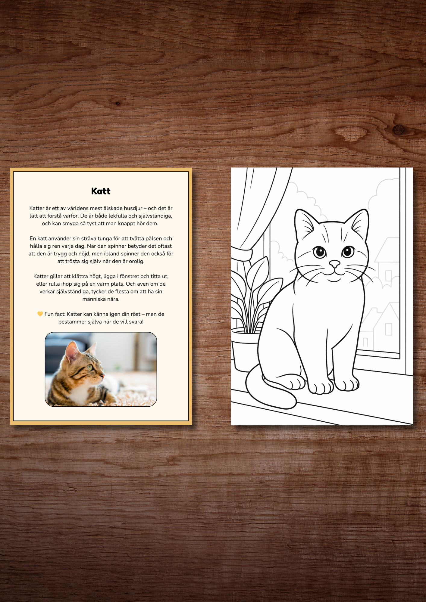 Upptäck djuren hemma